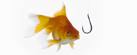 Phishing scams are rampant. Don't take the bait.